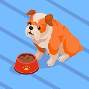 Meet your Posher, Cynthia